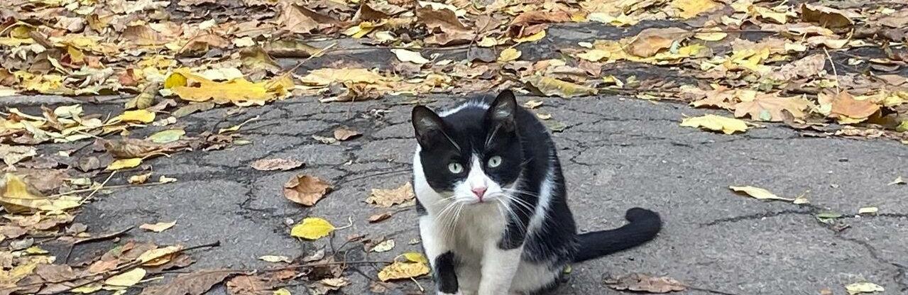  ������ ������� ��� �������� ��������� ����������� ������ ��� 