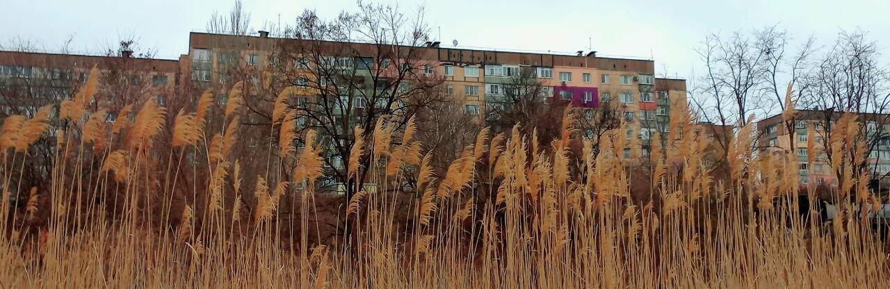  ������ ��������� ����� ��������� ������� ��� ������� 