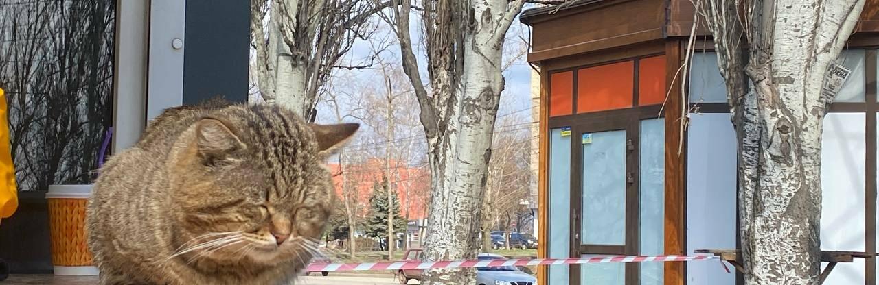  ������� ������ ������� ������� ��� ���� ��� ��������� 