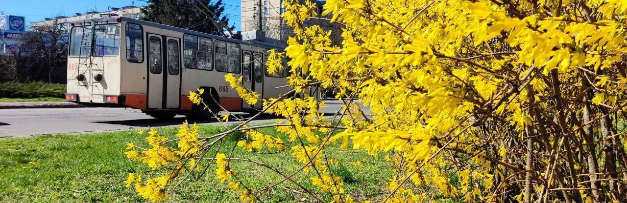  ������ �������������� ������ ������� ��� ������ ����� ���� 