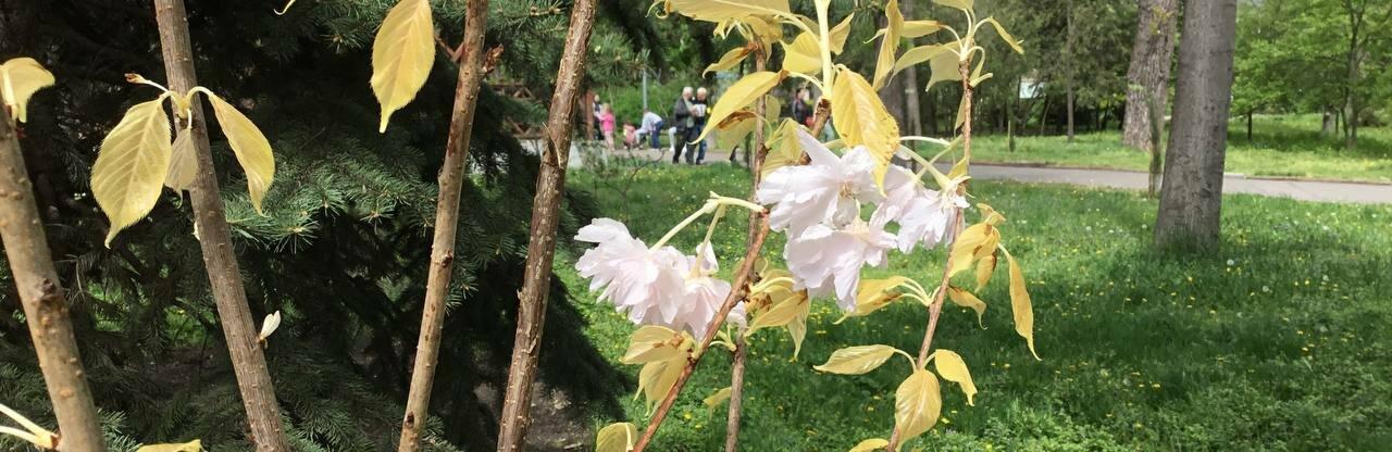  ����� ������� ��� ��������� ������ ��������� ����� 