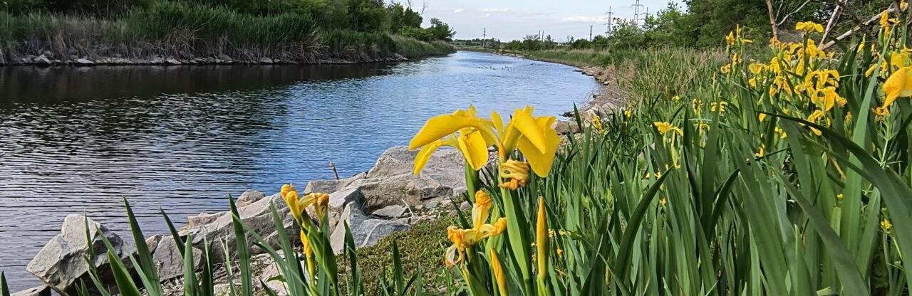  ������� ������ ������� ��� ������ ������ ��� ����� 