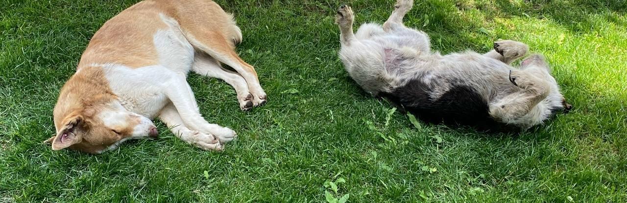  ������ ������� ��� ���� ����� ���� 