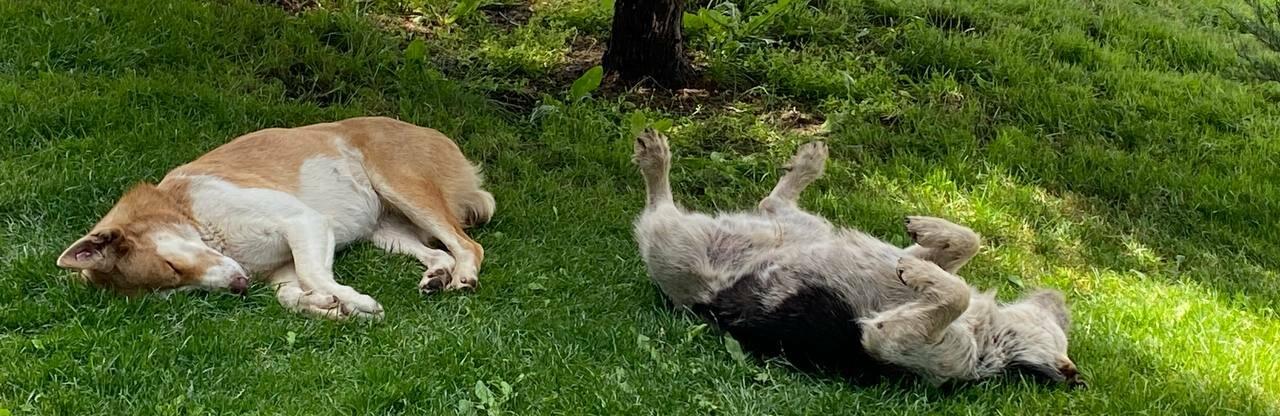  ����� ������ ������� ��� ������� 