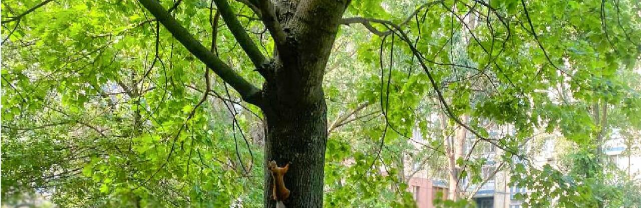  ������ ������� ��� ������� ��������� ����������� �������� ����������� 