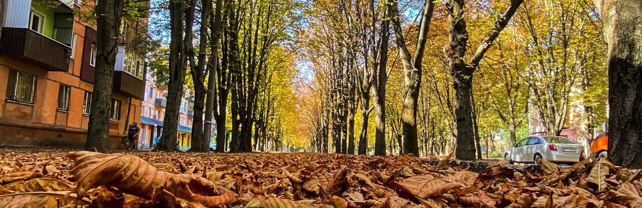  ������ ������������ ����� ������� ������ ������� ��� ������� 