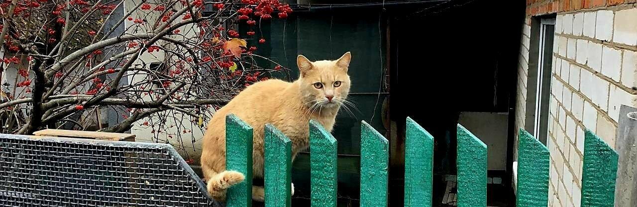  ������� ��� ����������� ������������� ������ 