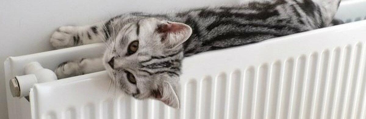  ������� ��� ���� ������� ���������� ����� ��������� ������� 