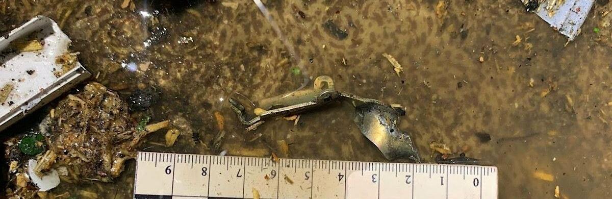  ������� ��� ������ ������� �� ������ ������� ������� 