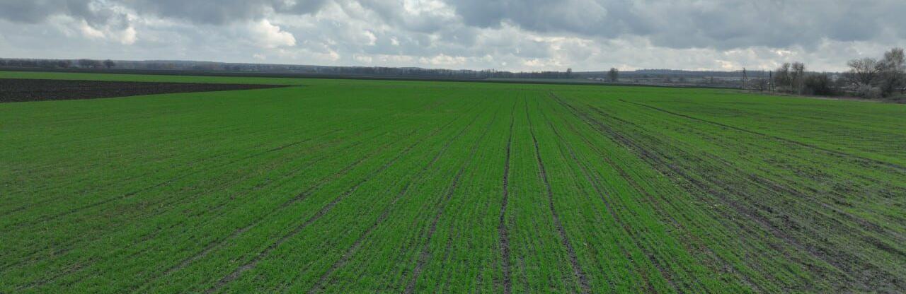 ����: 0564.ua