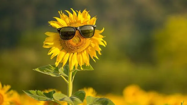  ������� ������ ������ ������ �� ���� ���������� ���� 