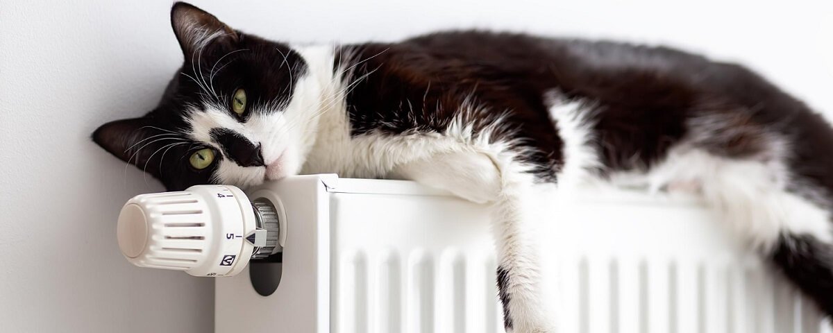  ������� ��� ���� ��������� ���� �������� ������ ����� 