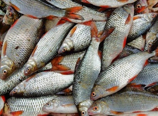  ��������� ������ ������� ��� ��������� �������� ���� ��������� 