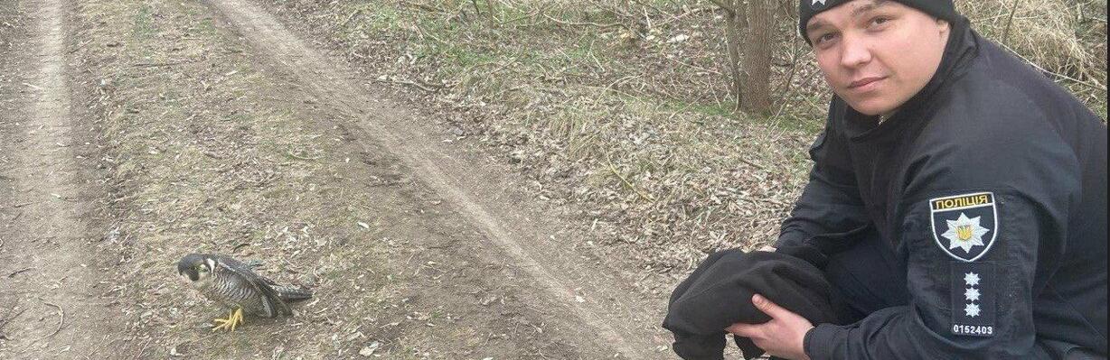 ����: 0564.ua