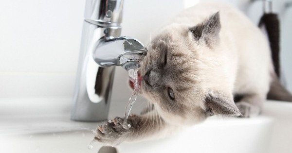  ���������� ���� ������� ��� ������ ��������� �������������� ����� 