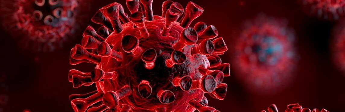  ������� ��� ������ ����� ������������� covid-19 