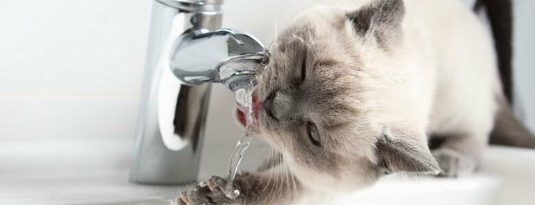  ������ ����� ������ �������� �������������� ������������ ������ ������� 