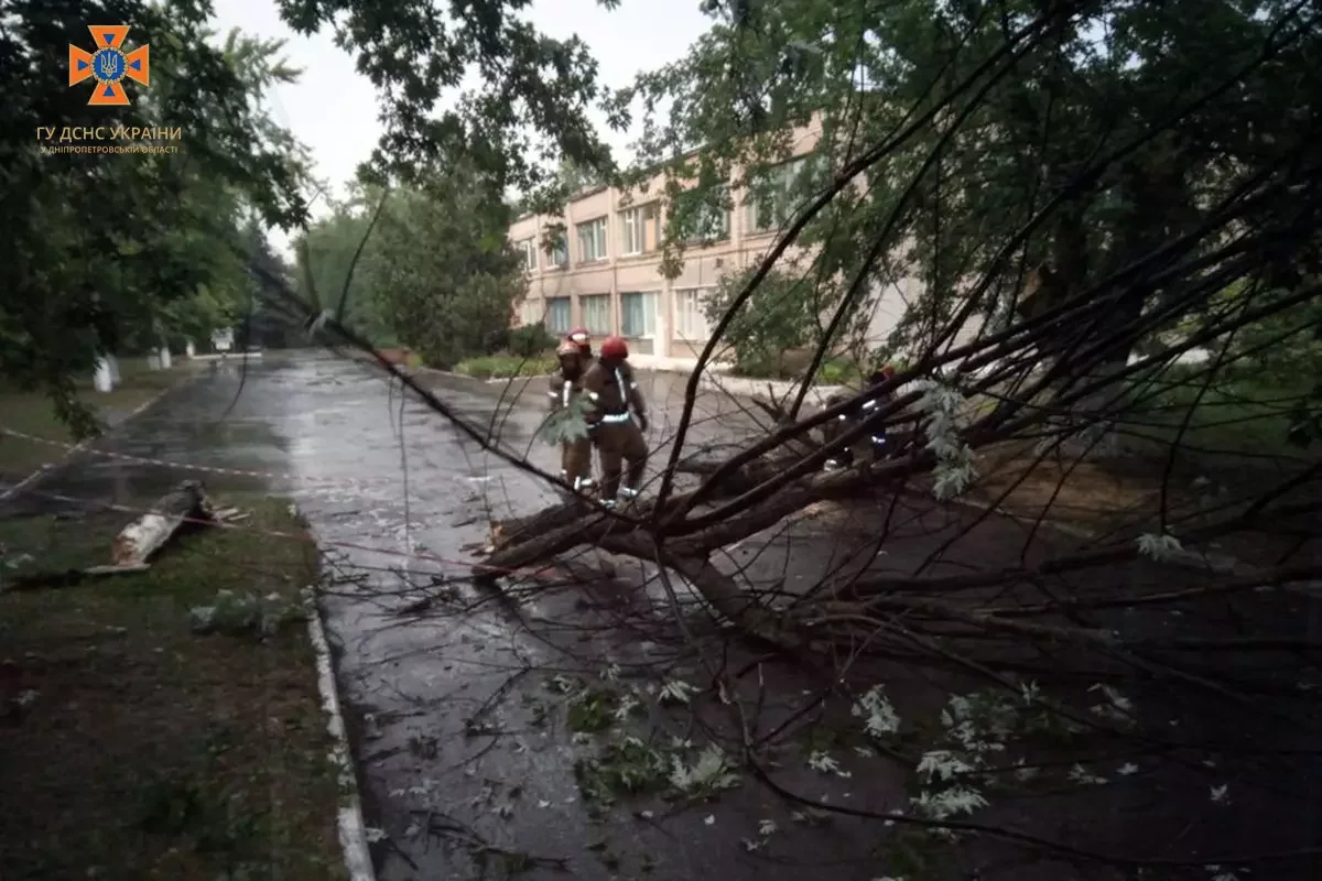  ������� ��� ������ ������ ����� ��� ������ 