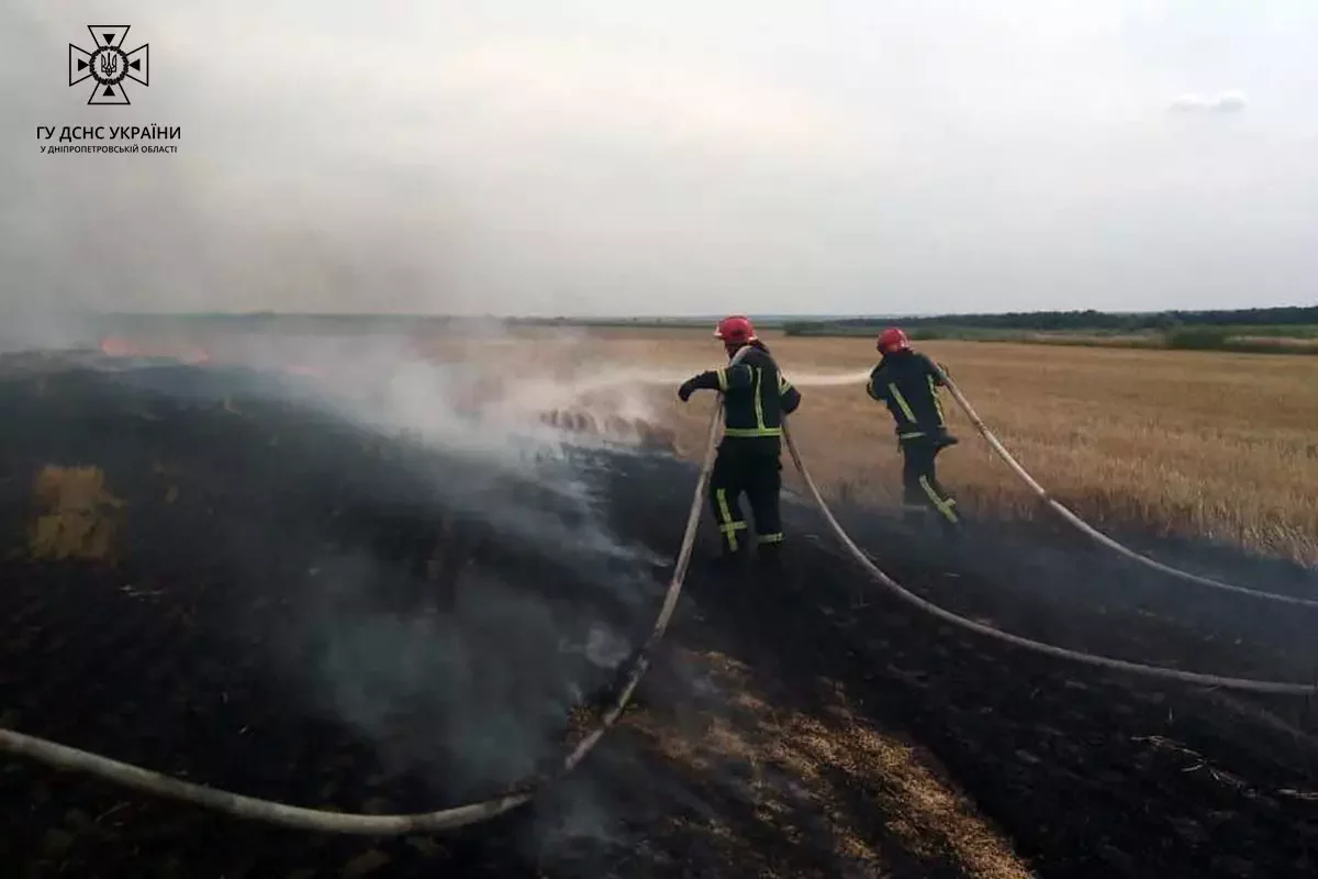  ���� �������� ���� ����� ���� ���� 