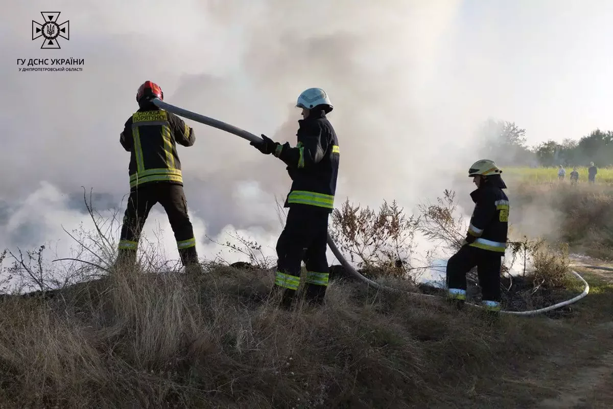  �������� ���� ���������� ���������������� ��������� ����� ����������� ���� 