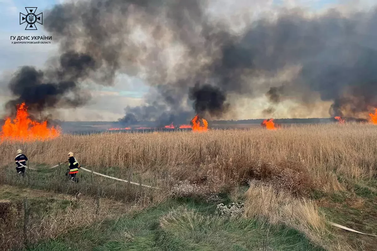  ���� ���������������� ������������ ��������� ����� ����������� ���� 