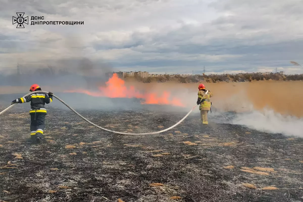  ���� ����������� ���������������� ������� ����� ���� 