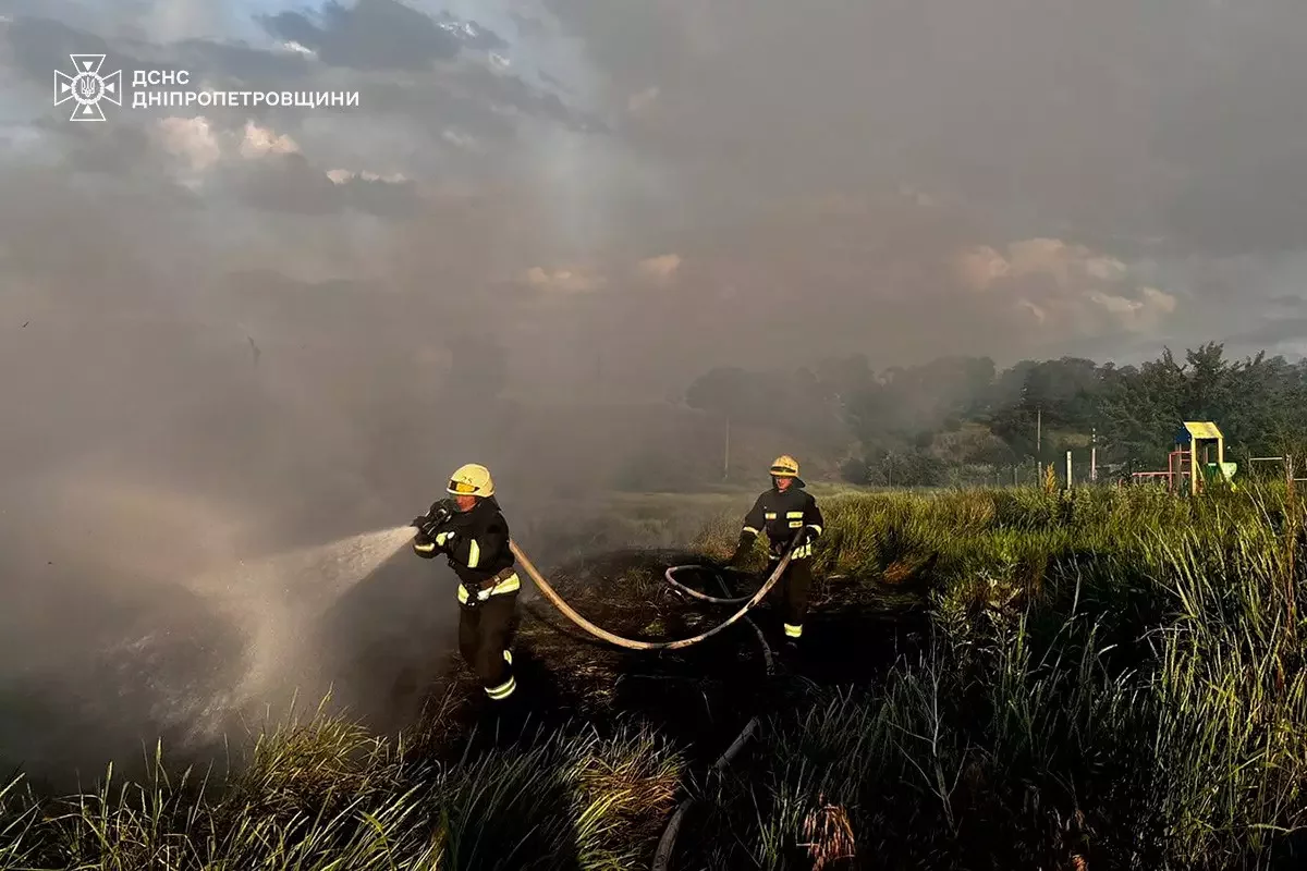  ������� ������������ ���������������� ��������� 220 ����� ������ 