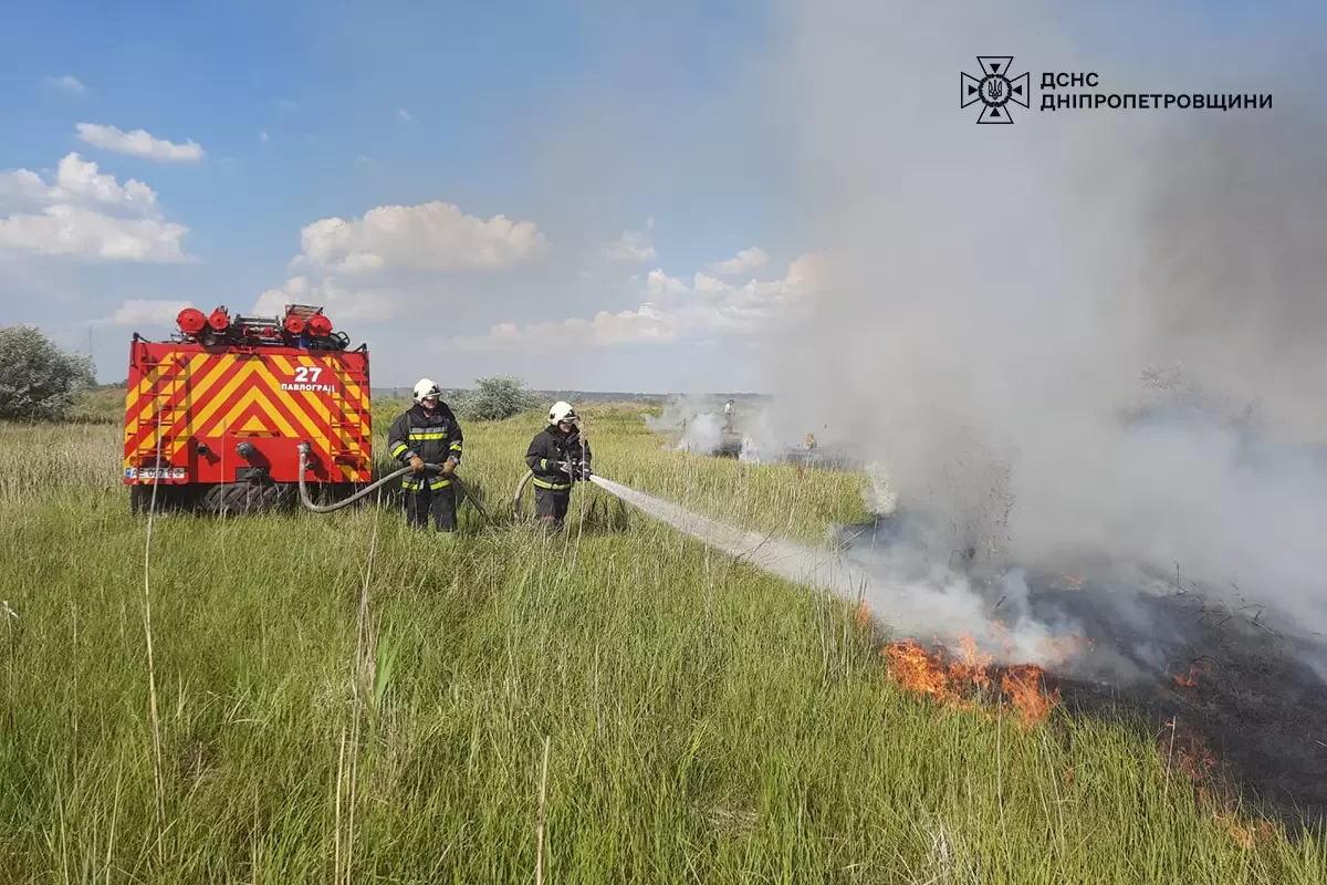  ���������������� �������� ���� ������������ ��������� ����� ����������� 