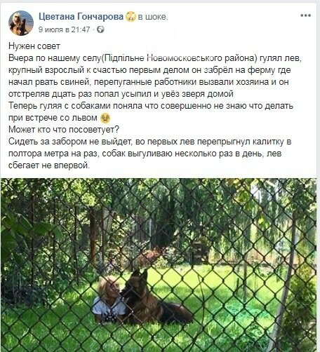 ����: 0564.ua