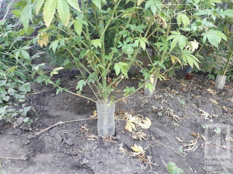  ������ ����� ���������� �������� ���������� ������� ���� 