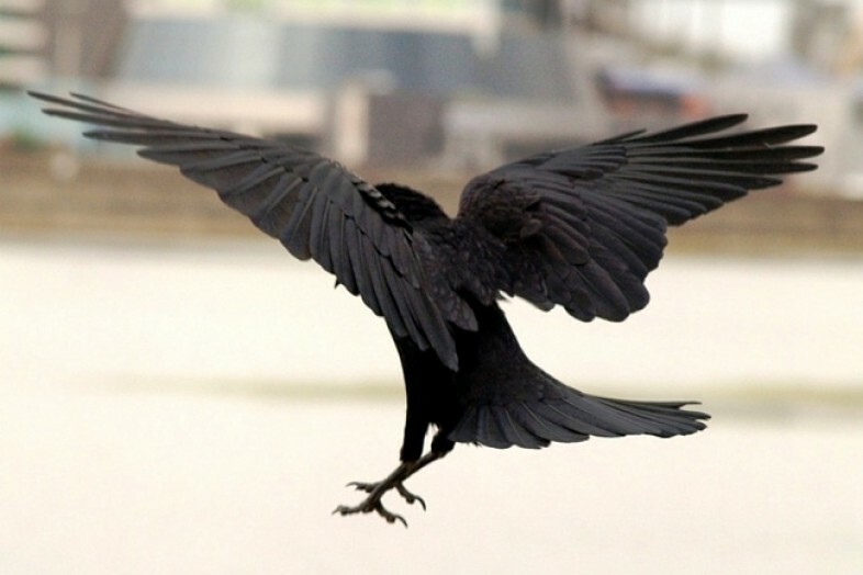  ����� ������ ������ ������� ��������� �������� ��������� ����������� 