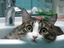  ������ ���� ������ ���� �������� �������� ���� 