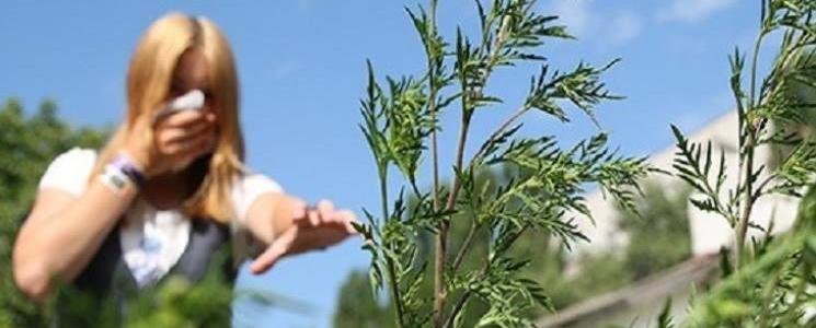  ������ ������ ���� ���������� ��������� ��������� ���� 