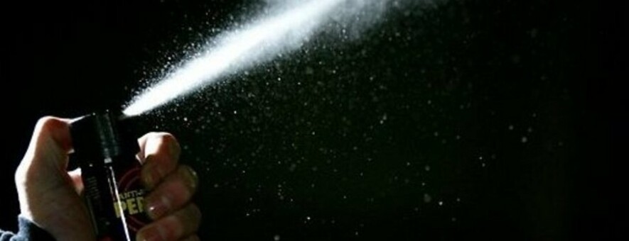  ������ ���� ��������� ����������������� �������������� ���������� 