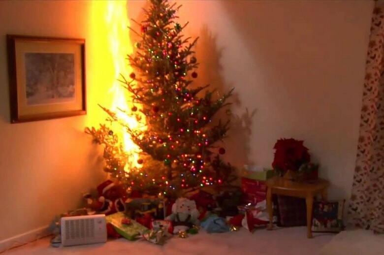  ������� ������ ������ ���� ���������� �������� 