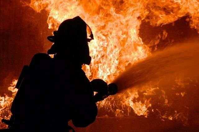  ����� ��������� �������� ��������� ���������� ������� ���� 