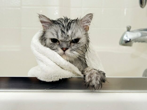  ������ ������������������ ������� ����� ������ ���������� ������������� 