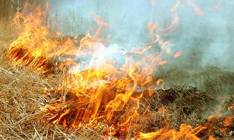  ��������� �������������� ���������������� ��������� ������� ������� ������������ �������� 