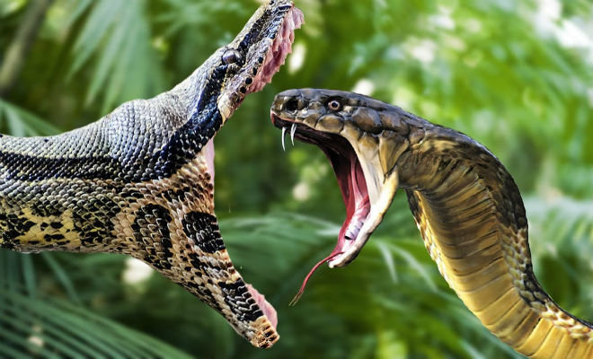  ����� ������������ �������� ����� ���� 