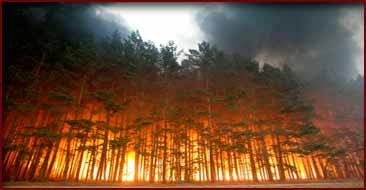  ��������� ��������� ������������ ��������� ��� ���������������� ����� ����������� 