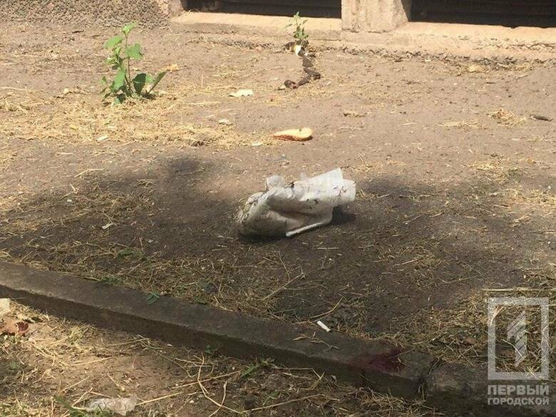  ������ ���� �������� ������� ������� ���� �������� ������ 