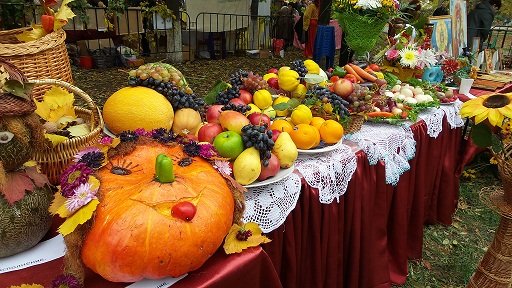  ������ ���� �������� ������� ����������� ������� ��������� ������ 