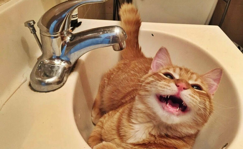  ���������� ���� ������ ��� �������� �������� ������������� ������ 