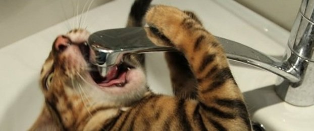  ��������� ���������� ������ ���� ���� �������� ������� ������ 