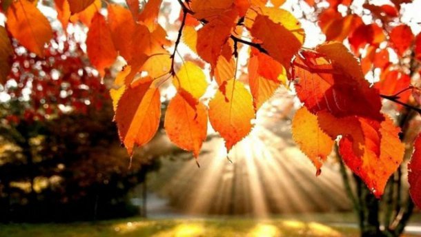  ������ ������ ���� ��������� ���������� ���� ������������� ���� 