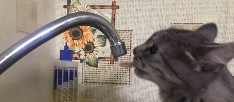  ���������� ���� ������ ��� ������� �������� �������� 