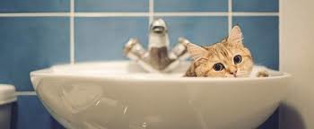  ���������� ���� ������ ��� ������ ��������� �������� �������� 