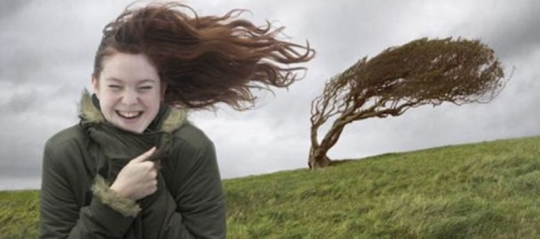  ������ ������ ���� ��������� ������������ ������� ���������� 