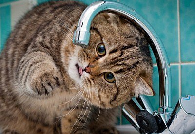  ���������� ���� ������ ��� ������� �������� �������� 