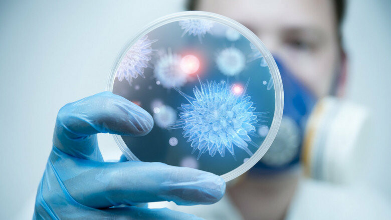  ������� ������������� �������������� ������� covid-19 